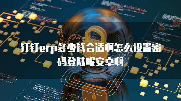 钉钉erp多少钱合适啊怎么设置密码登陆呢安卓啊