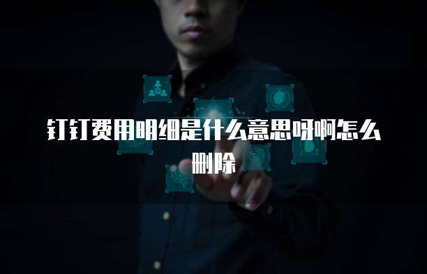 钉钉费用明细是什么意思呀啊怎么删除