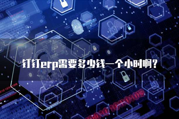 钉钉erp需要多少钱一个小时啊?