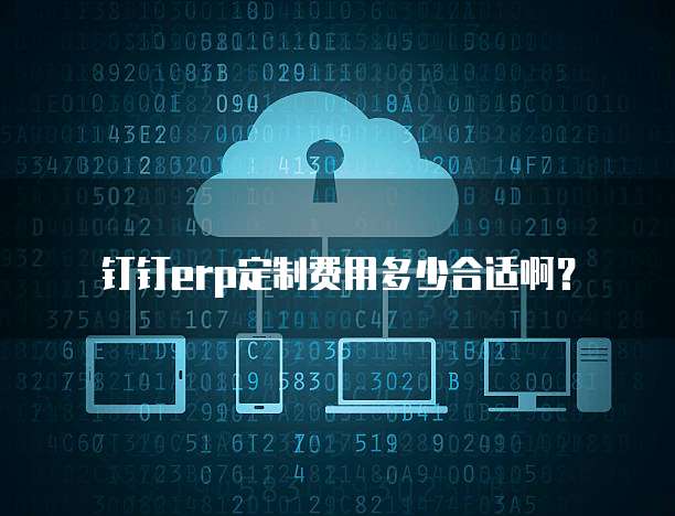 钉钉erp定制费用多少合适啊？