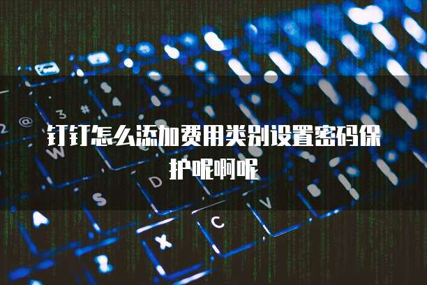 钉钉怎么添加费用类别设置密码保护呢啊呢
