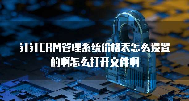 钉钉CRM管理系统价格表怎么设置的啊怎么打开文件啊