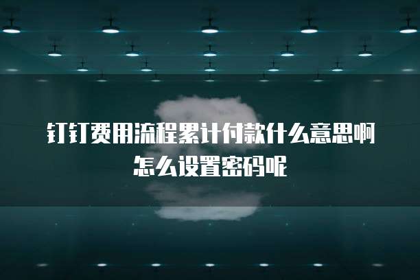 钉钉费用流程累计付款什么意思啊怎么设置密码呢