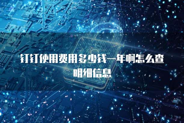 钉钉使用费用多少钱一年啊怎么查明细信息