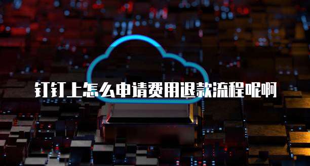 钉钉上怎么申请费用退款流程呢啊