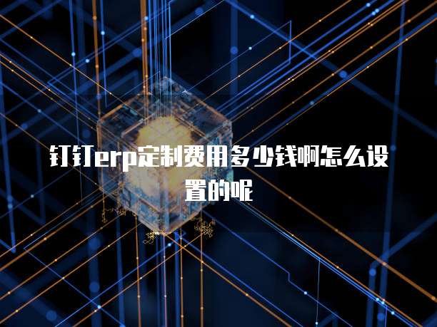 钉钉erp定制费用多少钱啊怎么设置的呢