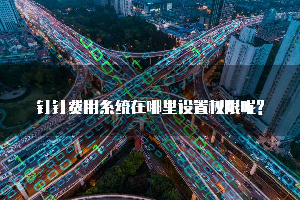 钉钉费用系统在哪里设置权限呢?