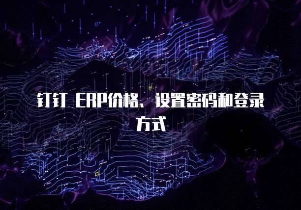 钉钉 ERP价格、设置密码和登录方式