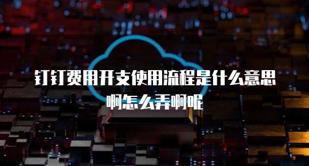 钉钉费用开支使用流程是什么意思啊怎么弄啊呢