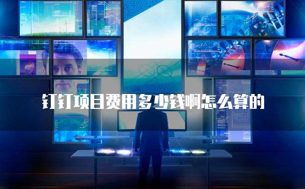 钉钉项目费用多少钱啊怎么算的
