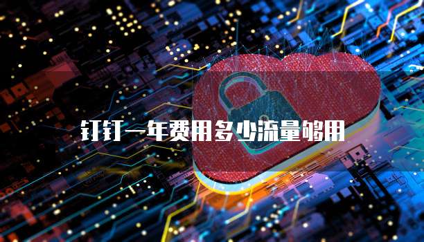钉钉一年费用多少流量够用