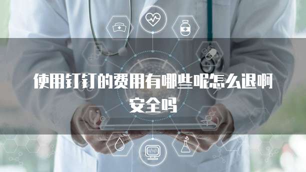 使用钉钉的费用有哪些呢怎么退啊安全吗