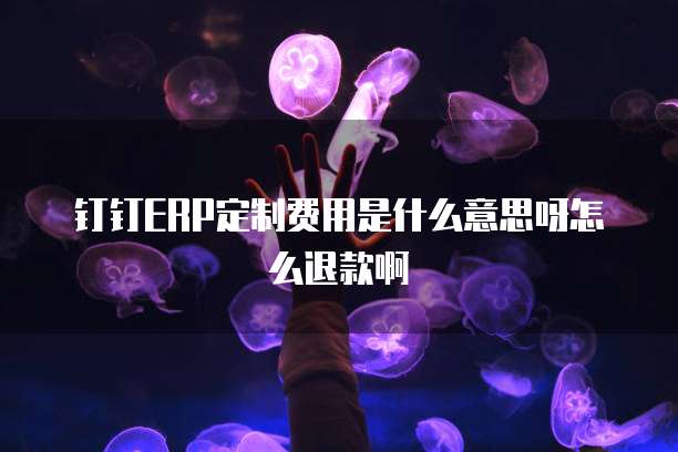 钉钉ERP定制费用是什么意思呀怎么退款啊
