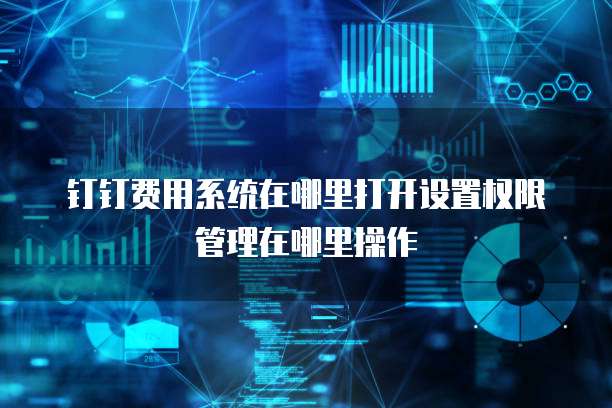 钉钉费用系统在哪里打开设置权限管理在哪里操作