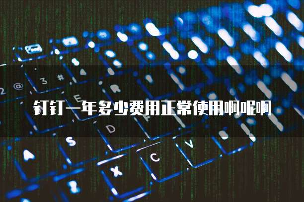 钉钉一年多少费用正常使用啊呢啊