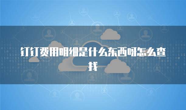 钉钉费用明细是什么东西呀怎么查找
