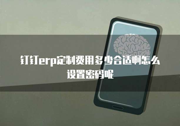 钉钉erp定制费用多少合适啊怎么设置密码呢
