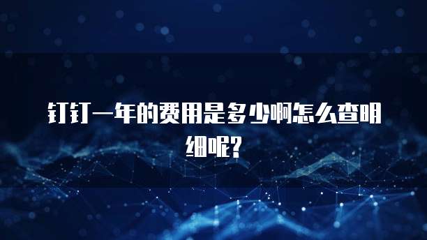 钉钉一年的费用是多少啊怎么查明细呢?