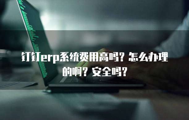 钉钉erp系统费用高吗?怎么办理的啊?安全吗?