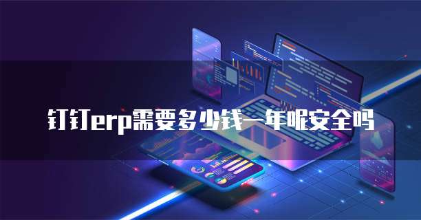 钉钉erp需要多少钱一年呢安全吗