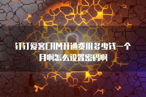 钉钉爱客CRM开通费用多少钱一个月啊怎么设置密码啊