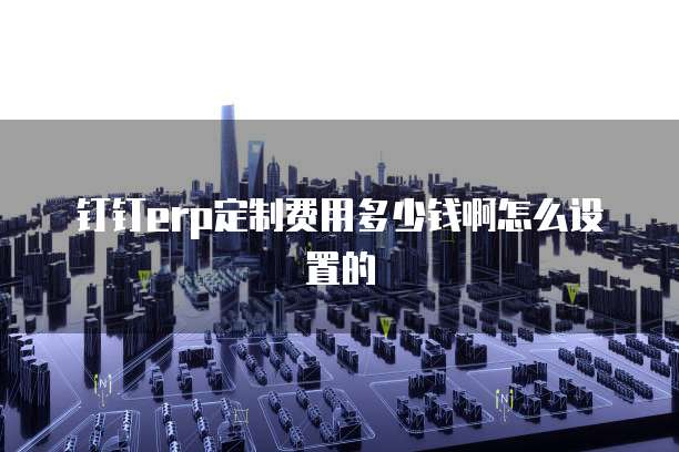 钉钉erp定制费用多少钱啊怎么设置的
