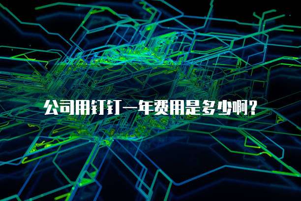 公司用钉钉一年费用是多少啊?
