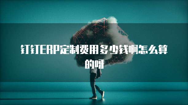 钉钉ERP定制费用多少钱啊怎么算的呀