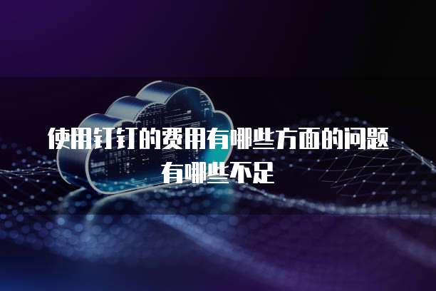 使用钉钉的费用有哪些方面的问题有哪些不足