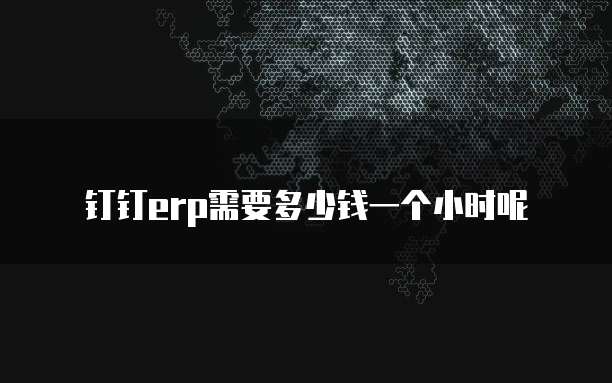 钉钉erp需要多少钱一个小时呢