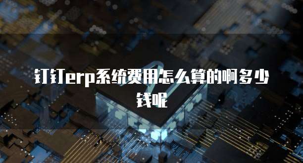 钉钉erp系统费用怎么算的啊多少钱呢