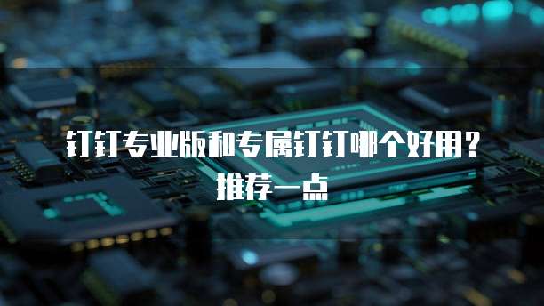 钉钉专业版和专属钉钉哪个好用?推荐一点