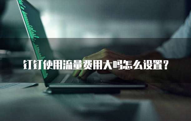 钉钉使用流量费用大吗怎么设置？