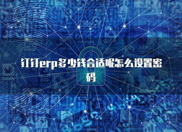 钉钉erp多少钱合适呢怎么设置密码