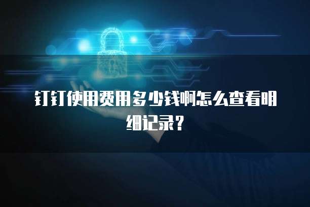 钉钉使用费用多少钱啊怎么查看明细记录?