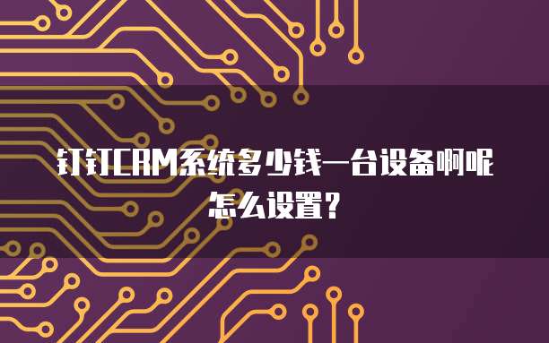 钉钉CRM系统多少钱一台设备啊呢怎么设置?