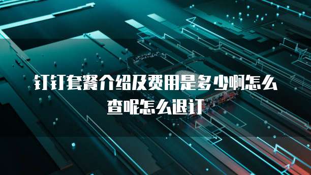 钉钉套餐介绍及费用是多少啊怎么查呢怎么退订