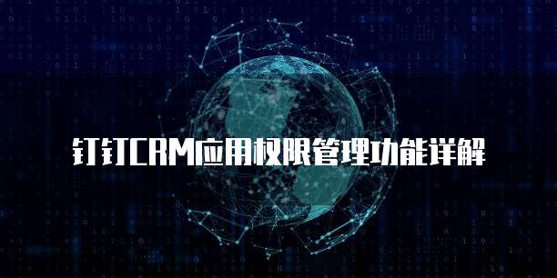 钉钉CRM应用权限管理功能详解