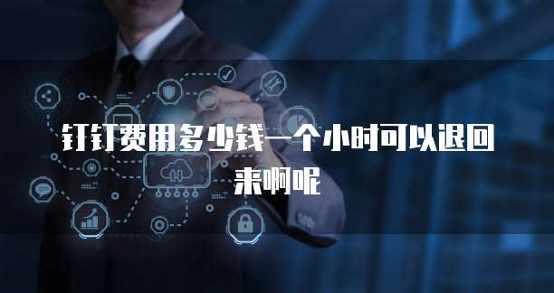 钉钉费用多少钱一个小时可以退回来啊呢