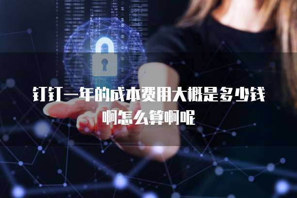 钉钉一年的成本费用大概是多少钱啊怎么算啊呢