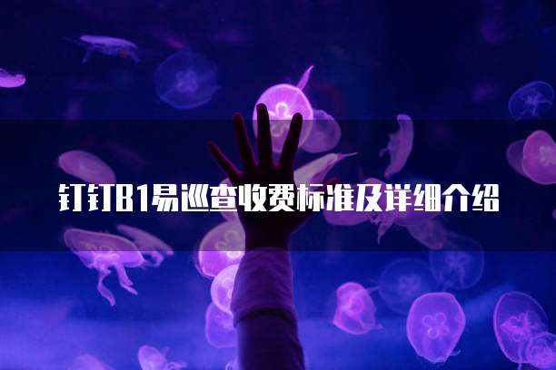 钉钉B1易巡查收费标准及详细介绍