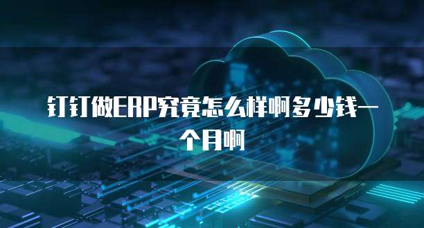 钉钉做ERP究竟怎么样啊多少钱一个月啊
