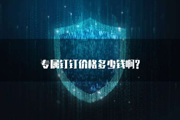专属钉钉价格多少钱啊?