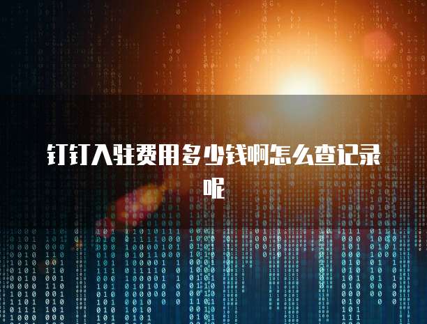 钉钉入驻费用多少钱啊怎么查记录呢