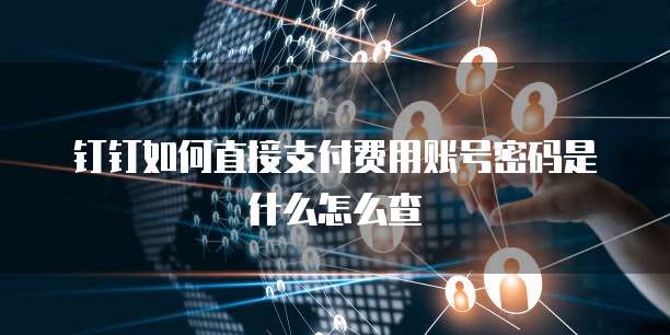 钉钉如何直接支付费用账号密码是什么怎么查