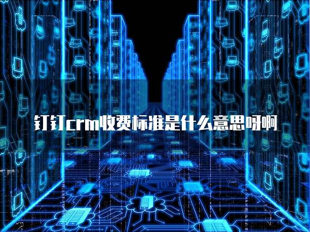 钉钉crm收费标准是什么意思呀啊