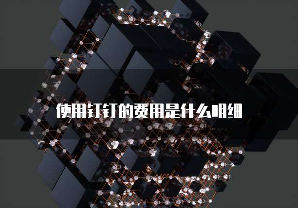 使用钉钉的费用是什么明细