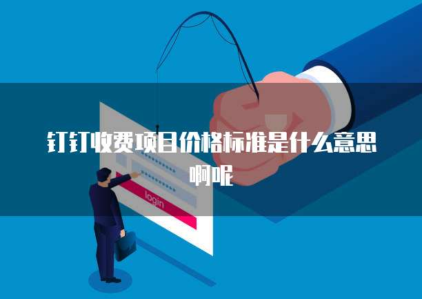 钉钉收费项目价格标准是什么意思啊呢
