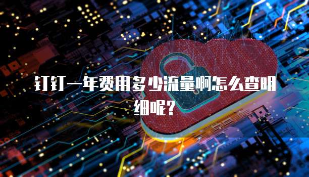 钉钉一年费用多少流量啊怎么查明细呢?