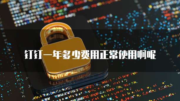 钉钉一年多少费用正常使用啊呢